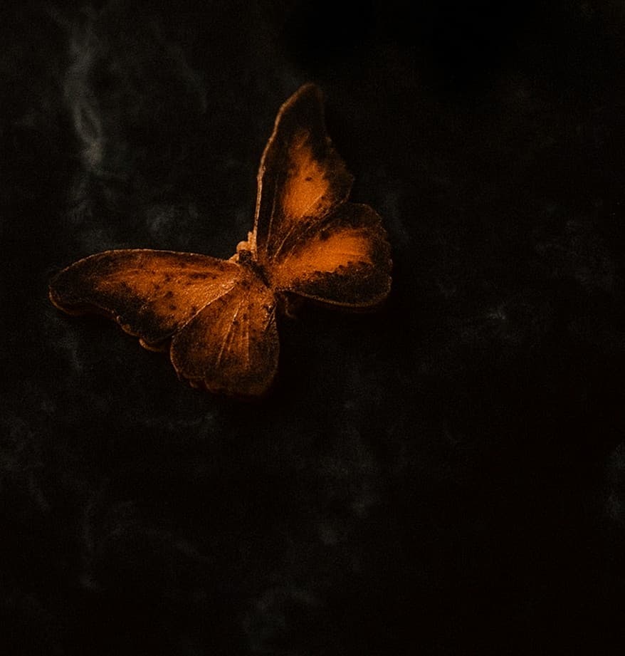 A plated Atelier dish featuring a butterfly presentation.